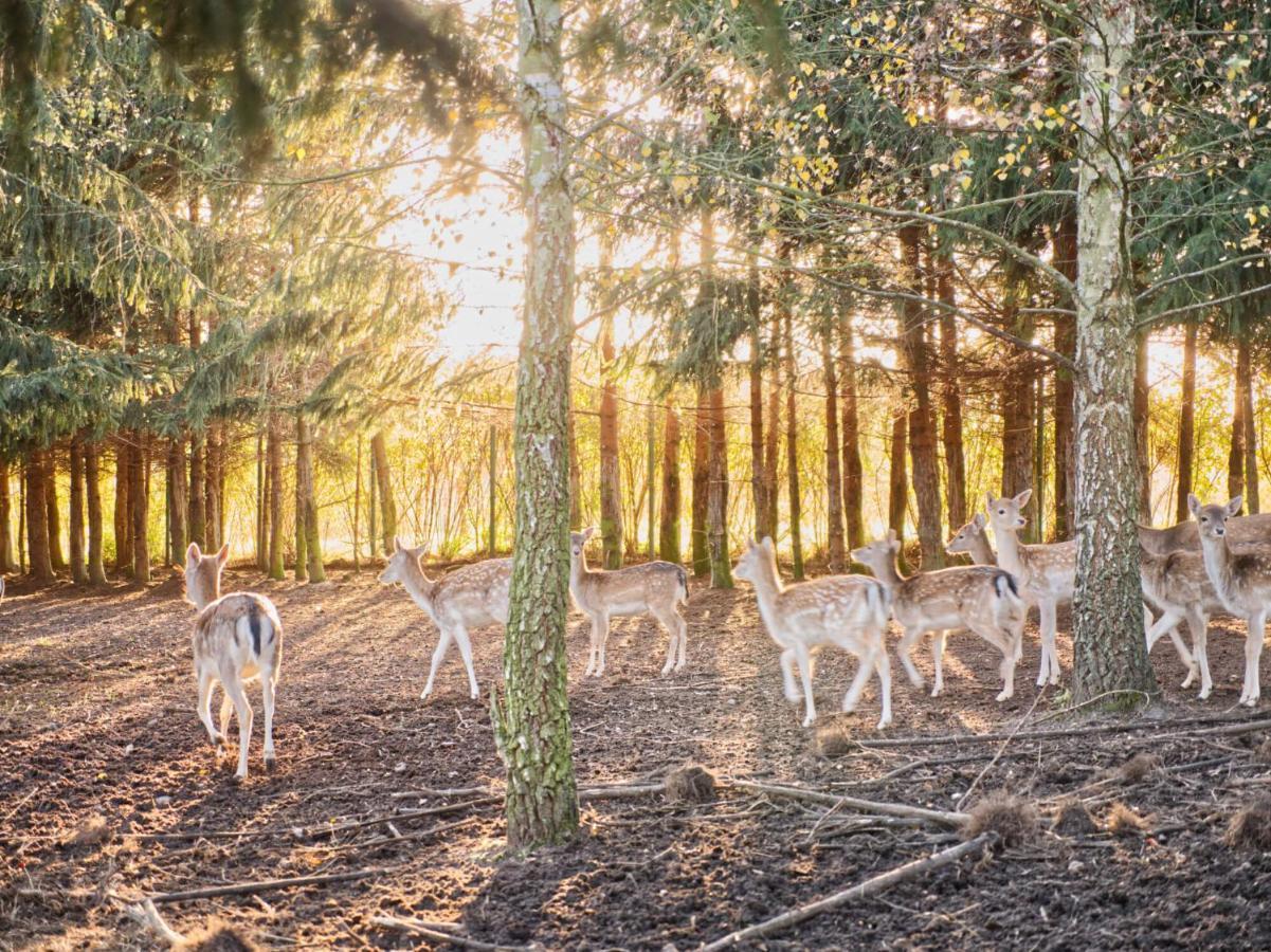 Przystan Nad Zatoka - Gospodarstwo Agroturystyczne Lubieszewo  Bagian luar foto