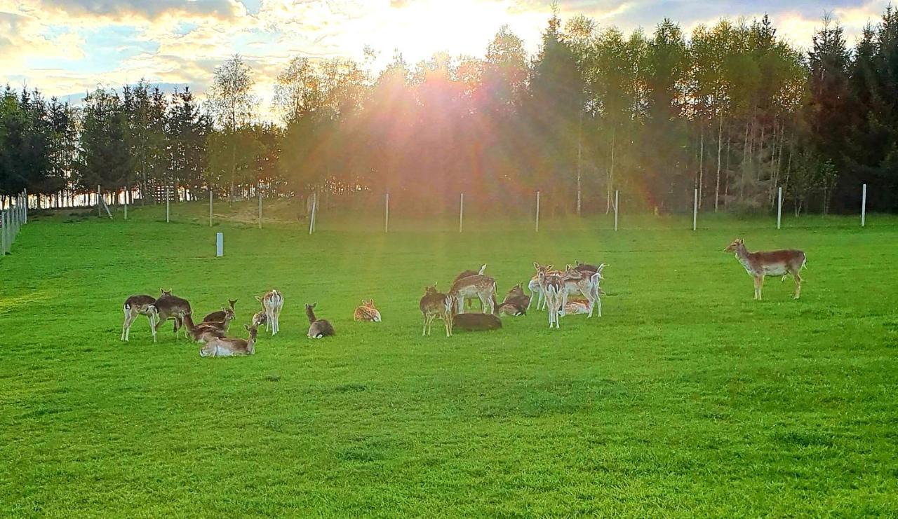 Przystan Nad Zatoka - Gospodarstwo Agroturystyczne Lubieszewo  Bagian luar foto