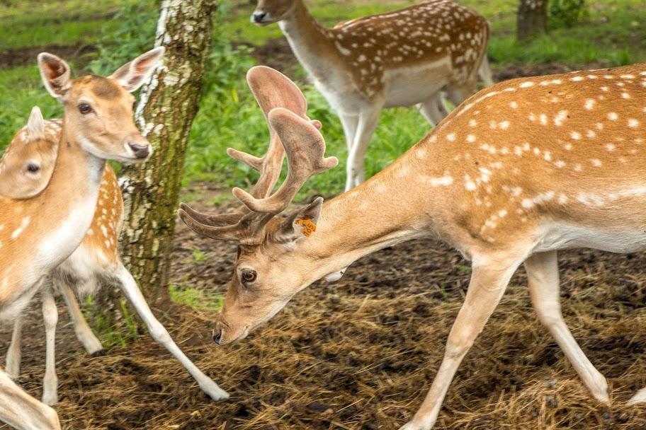 Przystan Nad Zatoka - Gospodarstwo Agroturystyczne Lubieszewo  Bagian luar foto