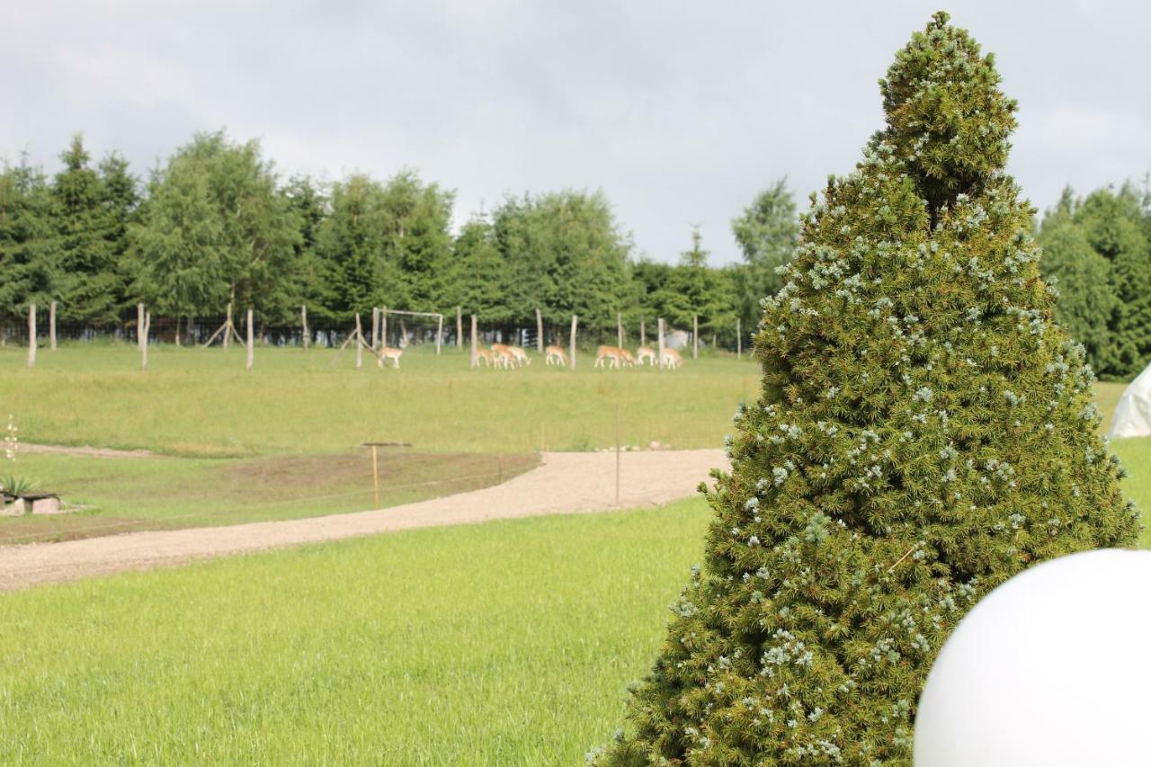 Przystan Nad Zatoka - Gospodarstwo Agroturystyczne Lubieszewo  Bagian luar foto
